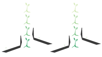 Cultivating Small plants with Tender Plant Hoe Tender Plant Hoe for small plant cultivation
