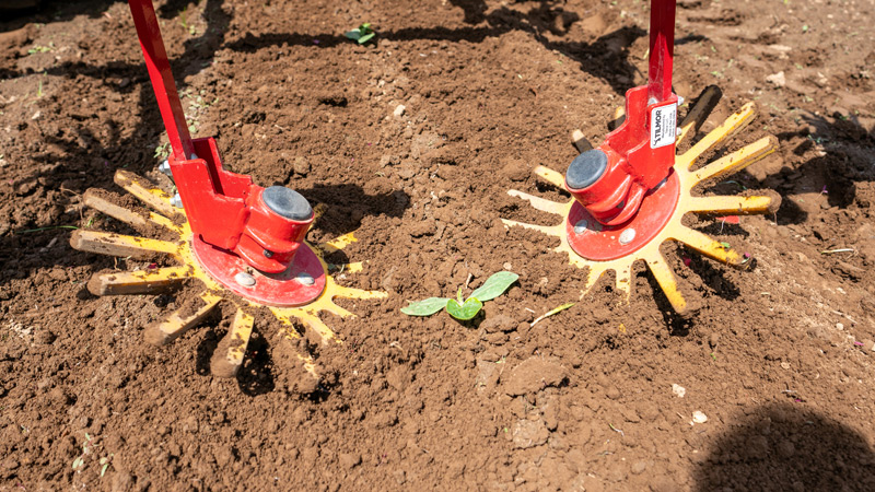 Close up of finger weeder fingers working soil