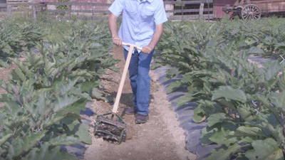 Rotovator Rotary Cultivator Rotovator Rotary Cultivator by Pioneer Equipment