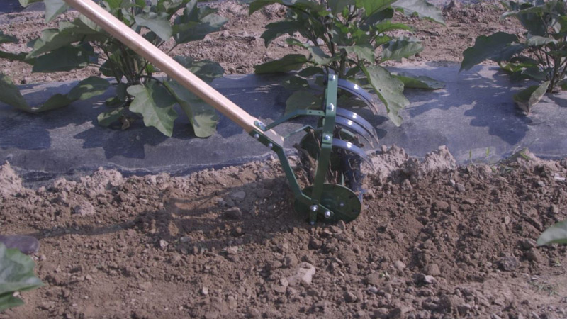 Rotovator Rotary Cultivator Rotovator Rotary Cultivator by Pioneer Equipment