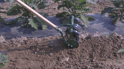 Rotovator Rotary Cultivator Rotovator Rotary Cultivator by Pioneer Equipment