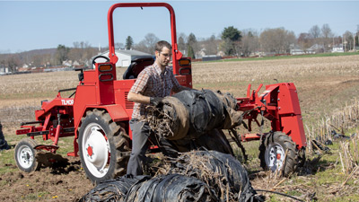 Tilmor Plastic Mulch Removal Tilmor Plastic Mulch Removal