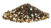 Grain Starter