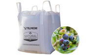 Blueberry Blend Tote