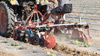 brush weeder for plastic mulch