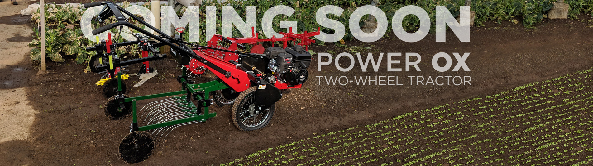 Power Ox Two-Wheel Tractor Power Ox Two-Wheel Tractor In Greenhouse