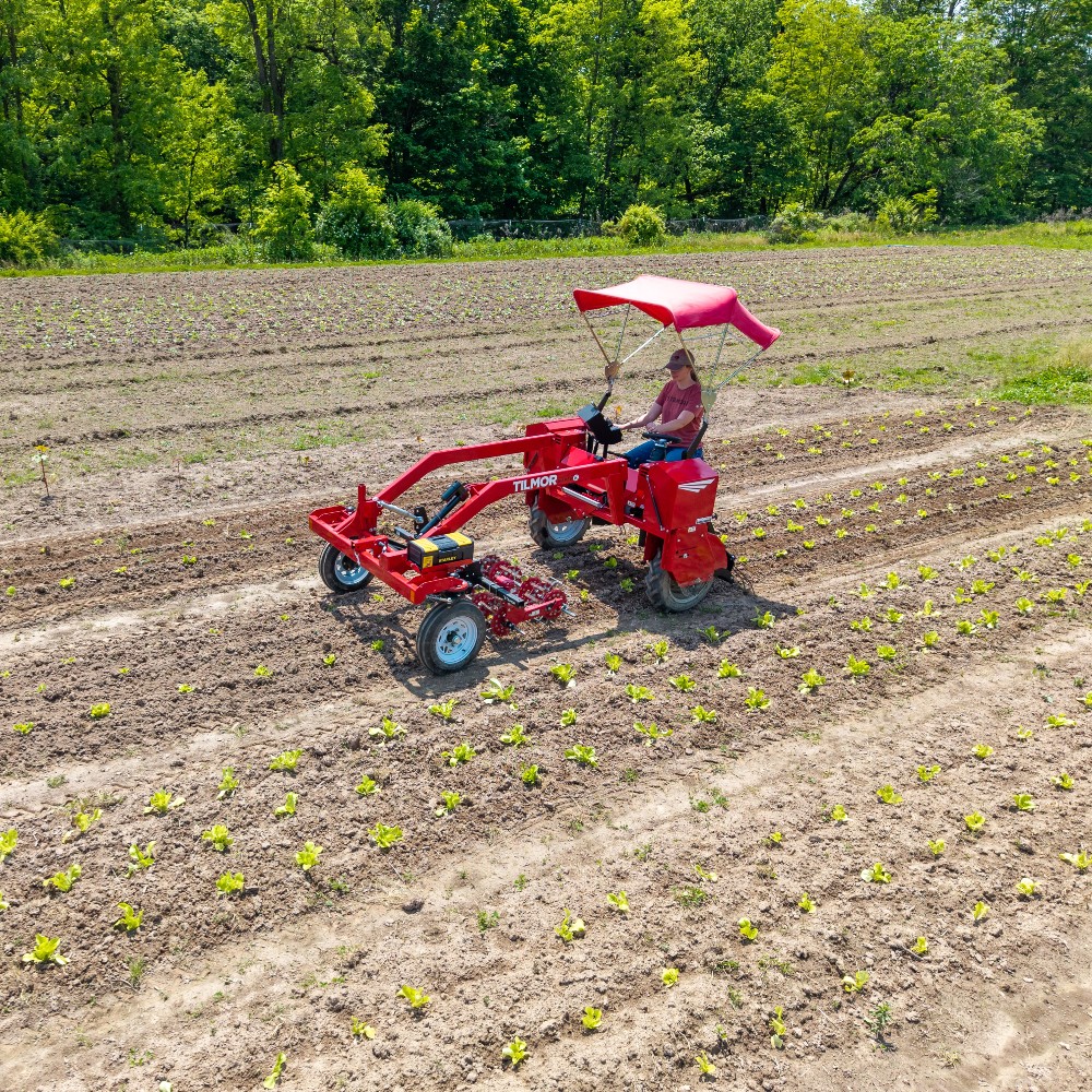 Vegetable & Market Grower