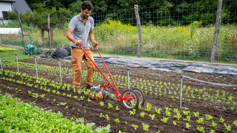 Terrateck Wheel Hoe