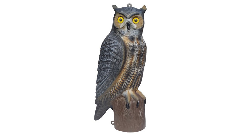 horned owl plastic decoy