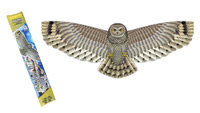 owl birds of prey kite