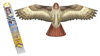hawk birds of prey kite