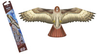 hawk birds of prey kite