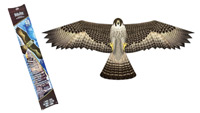 falcon birds of prey kite
