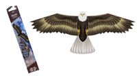 bald eagle birds of prey kite
