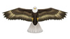 eagle birds of prey kite