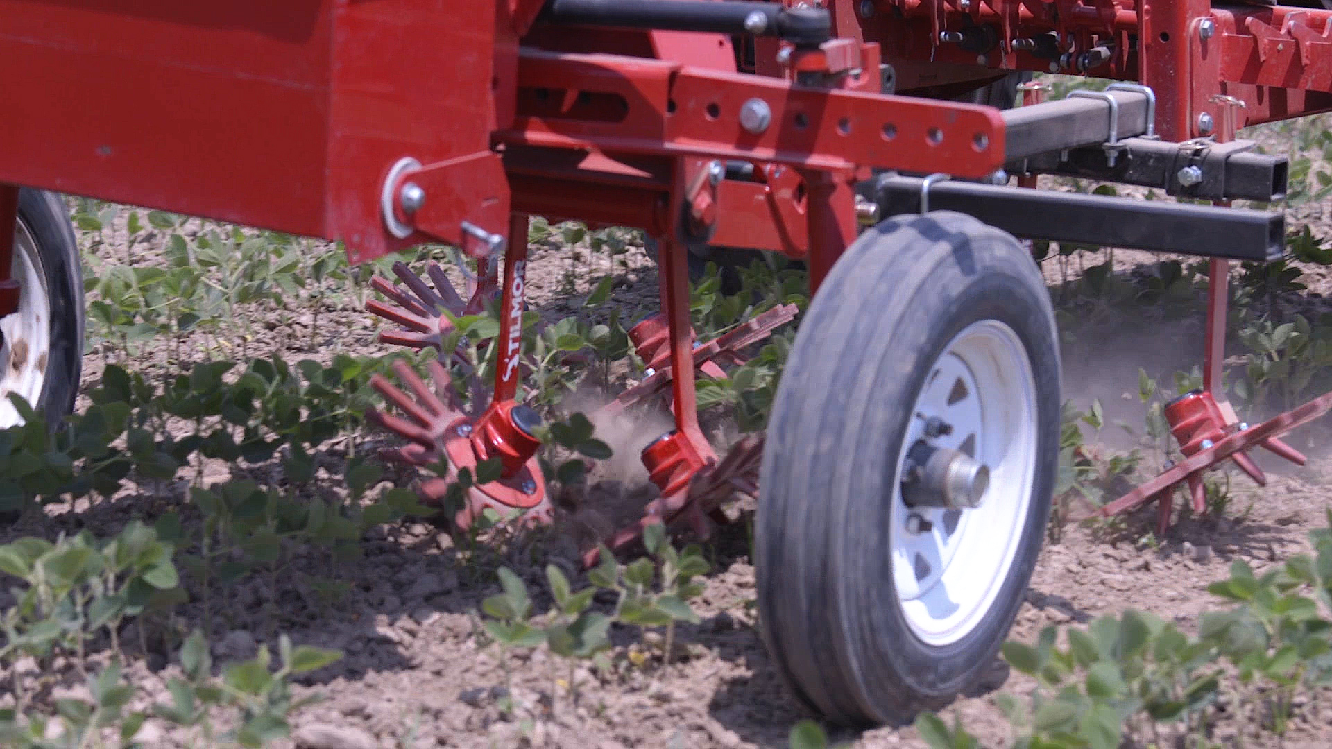 Tilmor Finger Weeder Cultivating Soybeans