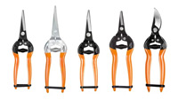 harvest scissors