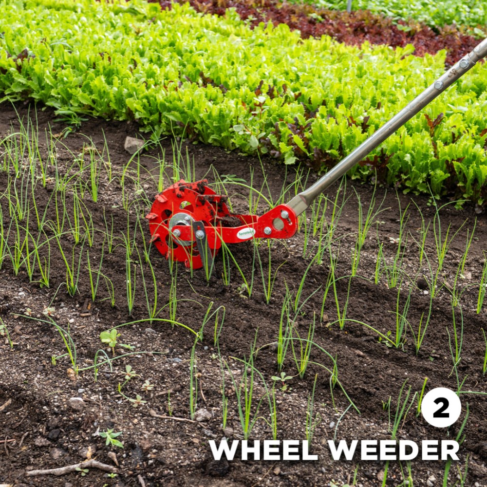 Wheel Weeder for Early Stage Weed Control
