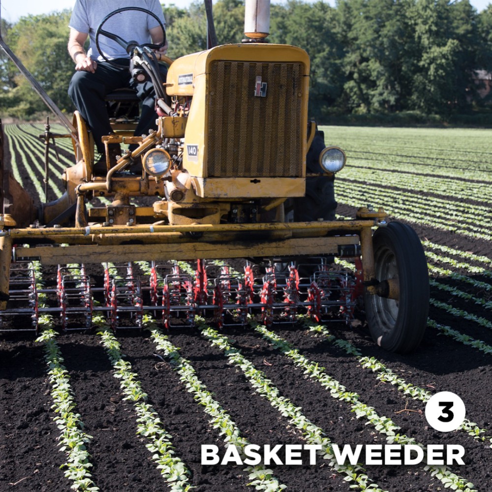 Basket Weeder for Inter Row Cultivation