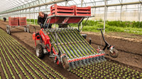 ezy planter