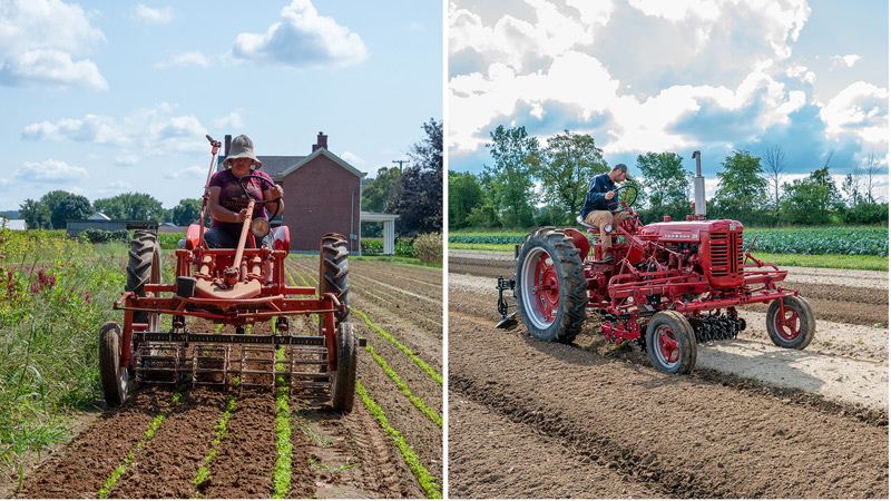 farmall allis g