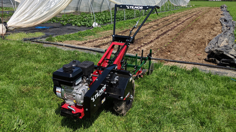 Power OX cultivating lettuce and onions Power OX cultivating lettuce and onions