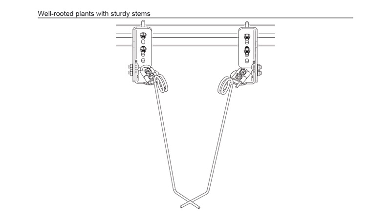Torsion Weeder Orientation for well-rooted plants Torsion Weeder Orientation for well-rooted plants