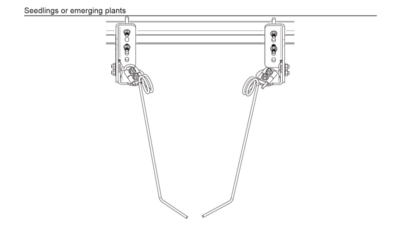 Torsion Weeder Orientation for Seedlings Torsion Weeder Orientation for Seedlings