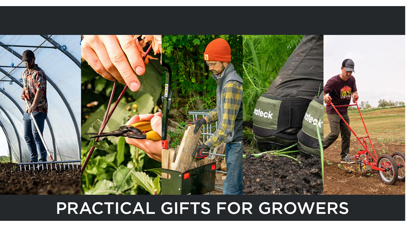 gift ideas