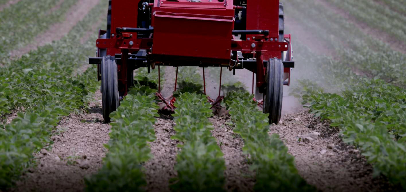 Cultivador de dedos, Cultivando Soya