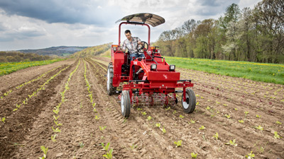Tilmor Tractor and Basket Weeder Tilmor Tractor and Basket Weeder